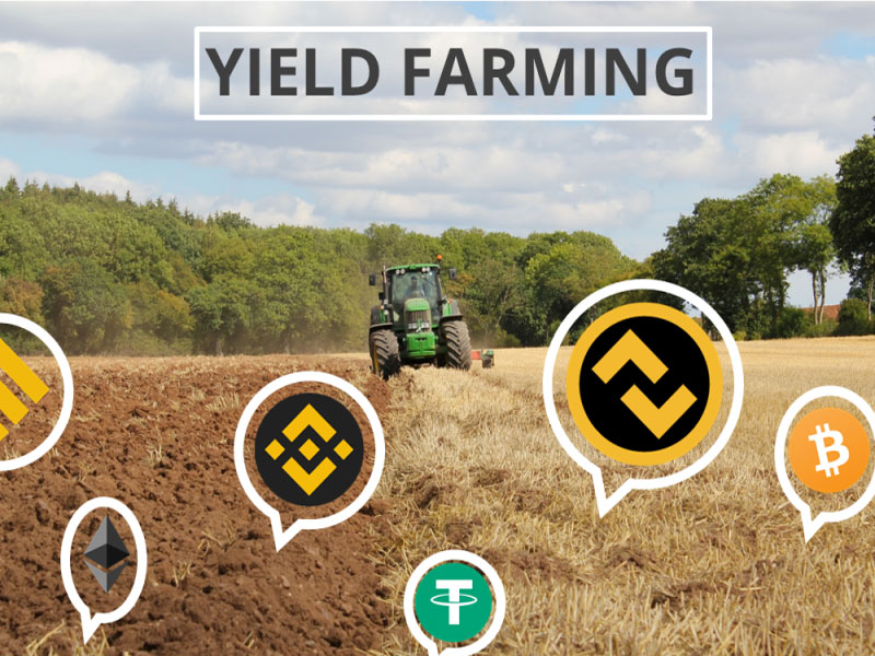 cách kiếm tiền trên Bitcoin bằng Yield Farming (Nuôi lợi nhuận)
