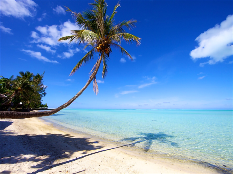 Top 11 bãi biển đẹp nhất thế giới Matira Beach