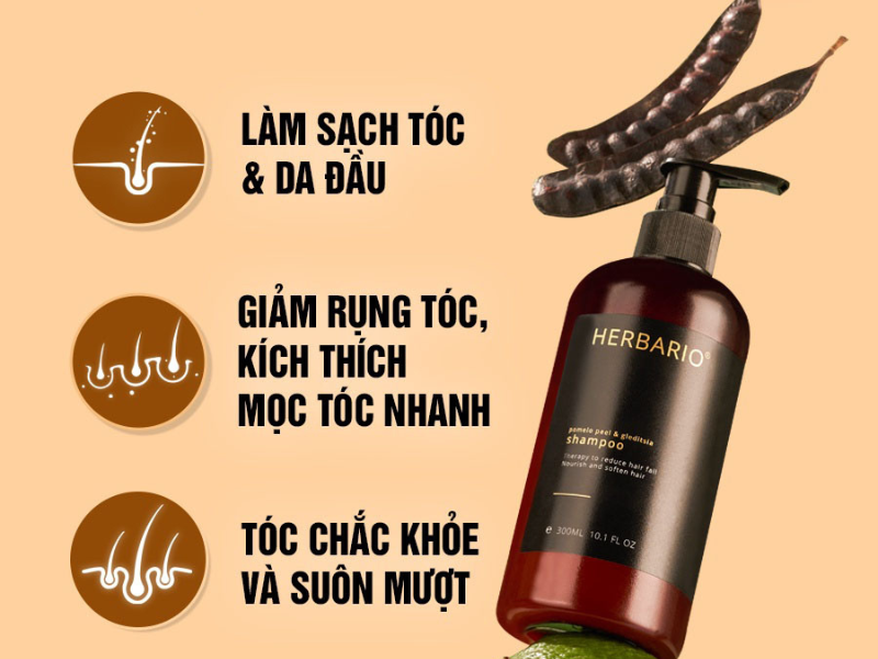 Top 8 Dầu Gội Kích Thích Mọc Tóc Nhanh Chóng Được Ưa Chuộng