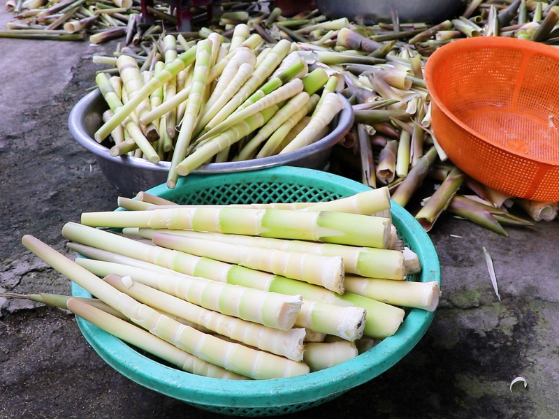 Măng le có vị ngọt, bùi, không đắng và ruột đặc