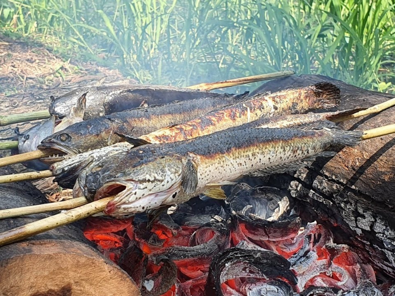 Cá lóc nướng trui là một món ăn mang đậm phong cách miền Tây