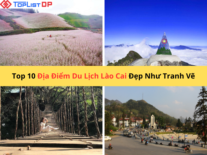 Top 10 Địa Điểm Du Lịch Lào Cai Đẹp Như Tranh Vẽ