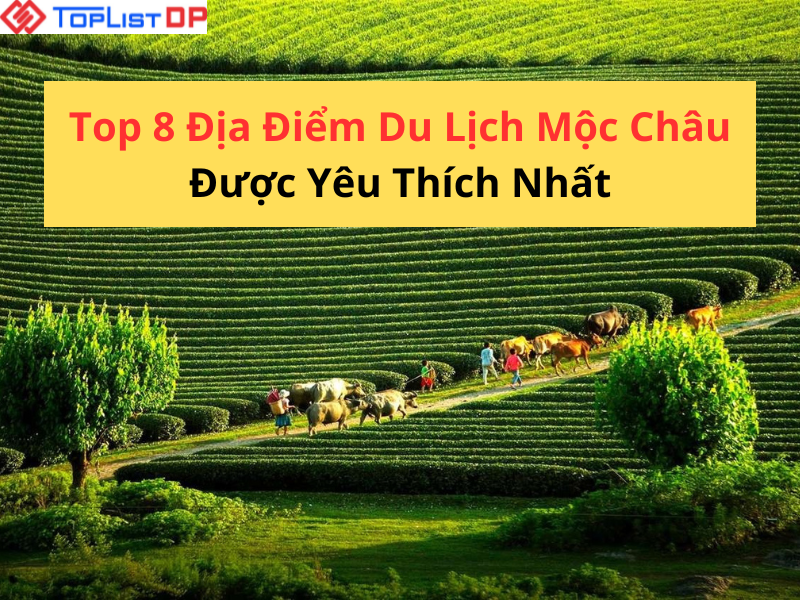 Top 8 Địa Điểm Du Lịch Mộc Châu Được Yêu Thích Nhất